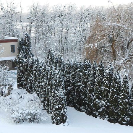 Rosehill Cottage Orbányosfa Extérieur photo